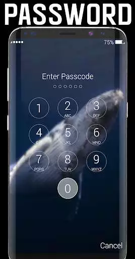 Play Blue Whale Lock Screen as an online game Blue Whale Lock Screen with UptoPlay