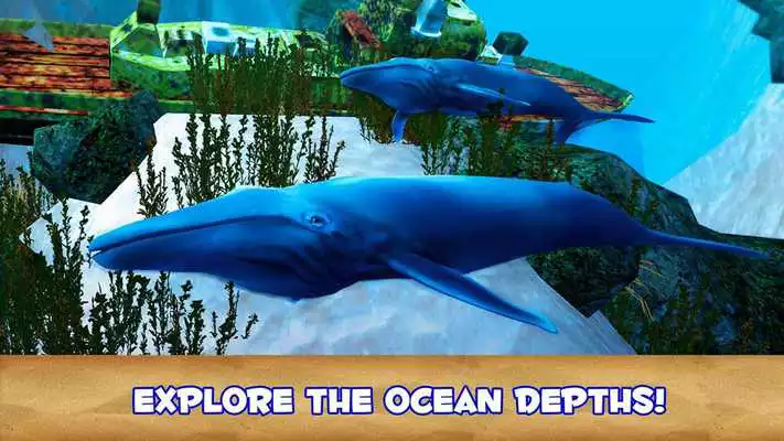 Play Blue Whale Simulator 3D Play Blue Whale Simulator 3D