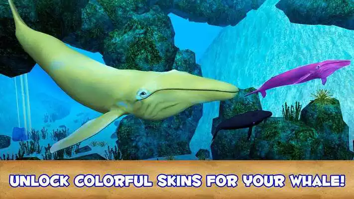 Play Blue Whale Simulator 3D Play Blue Whale Simulator 3D