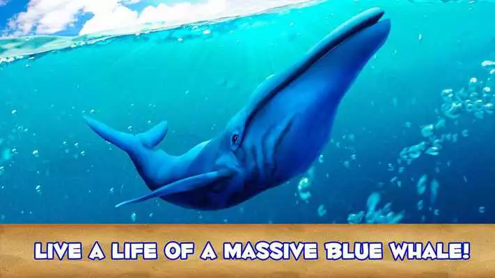 Play Blue Whale Simulator 3D Play Blue Whale Simulator 3D