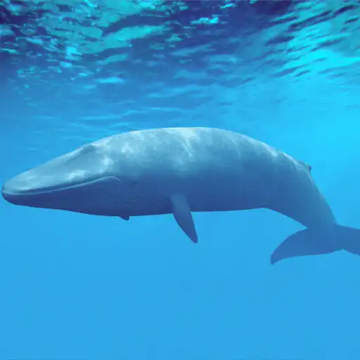 Play Blue Whale Sounds Soundboard APK