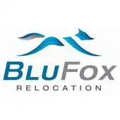 Free play online BluFox Relocation APK Free play online BluFox Relocation APK