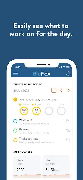 Play BluFox as an online game BluFox with UptoPlay