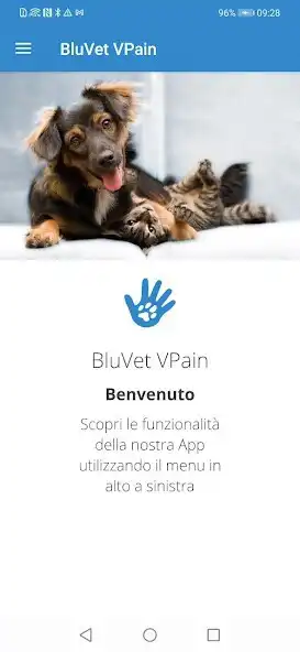Play BluVet VPain  and enjoy BluVet VPain with UptoPlay