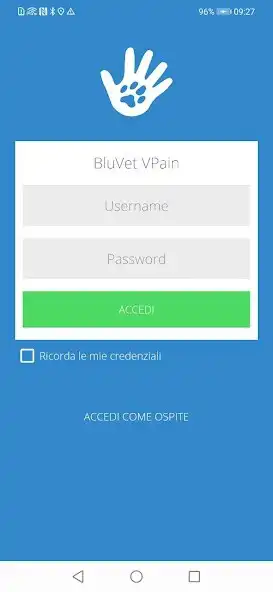 Play BluVet VPain as an online game BluVet VPain with UptoPlay