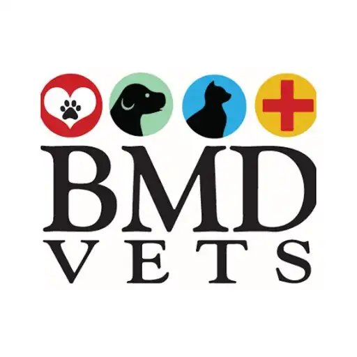 Play BMD Vets APK