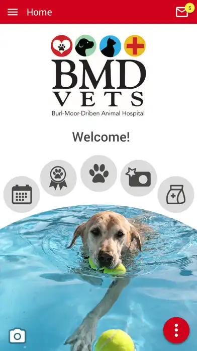 Play BMD Vets  and enjoy BMD Vets with UptoPlay