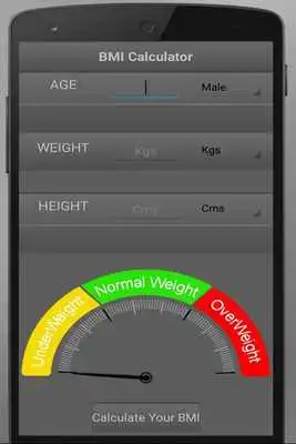 Play BMI Calculator App