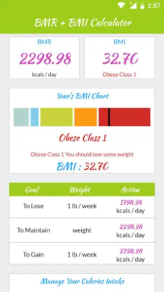Play BMR  BMI Calculator as an online game BMR  BMI Calculator with UptoPlay