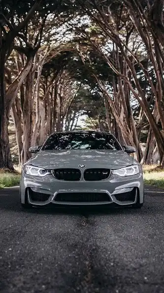 Play BMW F30 Wallpapers  and enjoy BMW F30 Wallpapers with UptoPlay