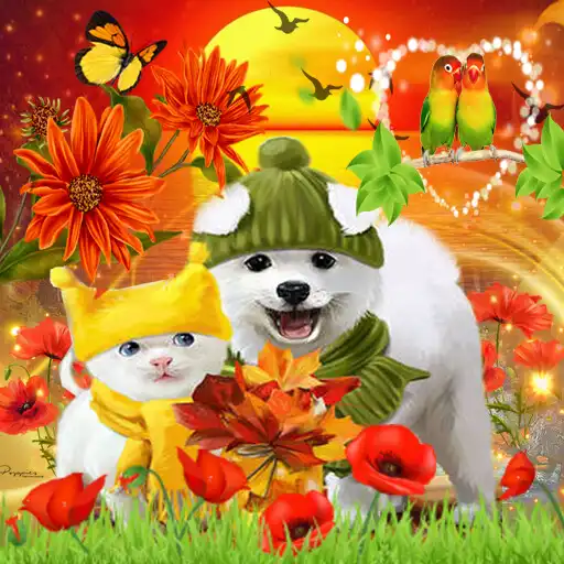 Play Boa noite em belas imagens GIF APK