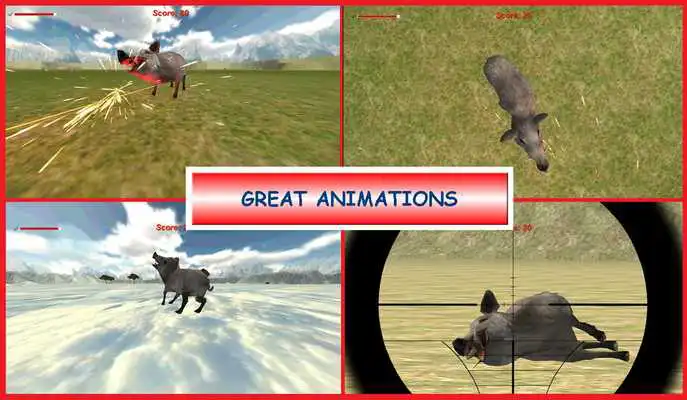 Play BOAR HUNTER SNIPER 3D Play BOAR HUNTER SNIPER 3D