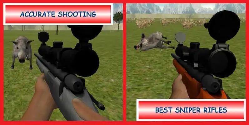 Play BOAR HUNTER SNIPER 3D Play BOAR HUNTER SNIPER 3D