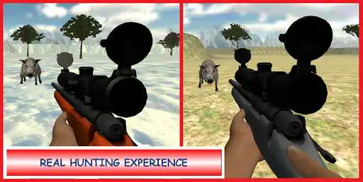 Play Boar Hunter Sniper  and enjoy Boar Hunter Sniper with UptoPlay