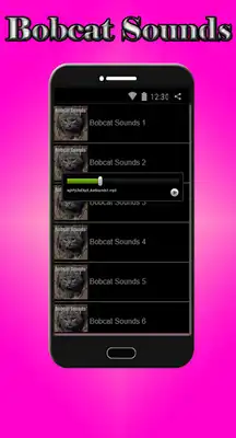 Play Bobcat Sounds