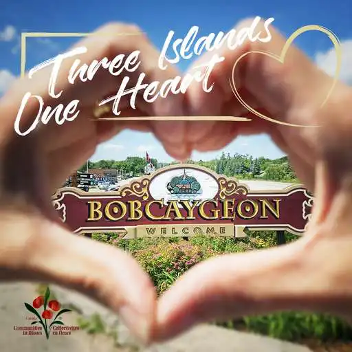 Play Bobcaygeon TSW Trail Town APK Play Bobcaygeon TSW Trail Town APK