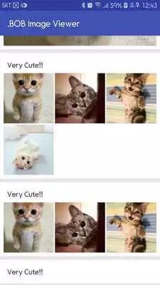 Play .BOB file Viewer