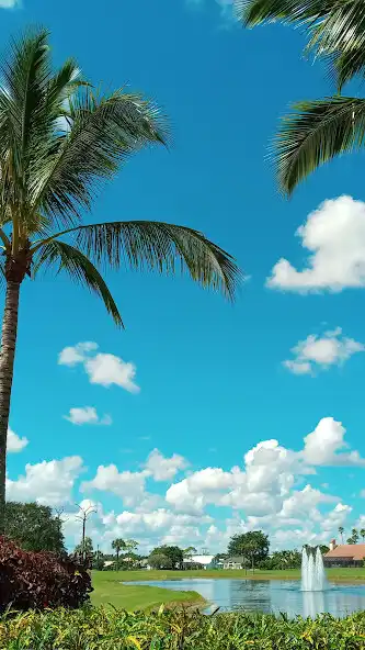 Play Boca Woods Country Club  and enjoy Boca Woods Country Club with UptoPlay