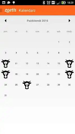 Play Bocian  and enjoy Bocian with UptoPlay