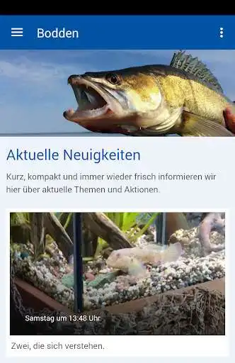 Play Boddenabenteuer  and enjoy Boddenabenteuer with UptoPlay