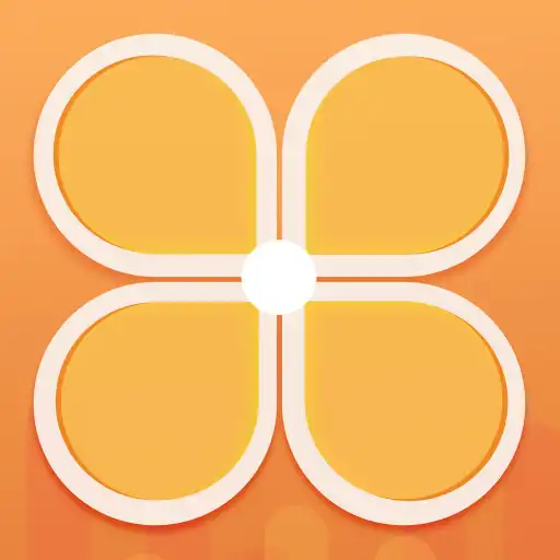 Play bodivis APK