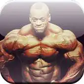 Free play online Bodybuilders Game APK Free play online Bodybuilders Game APK
