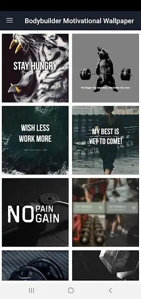 Play Bodybuilder Wallpapers as an online game Bodybuilder Wallpapers with UptoPlay