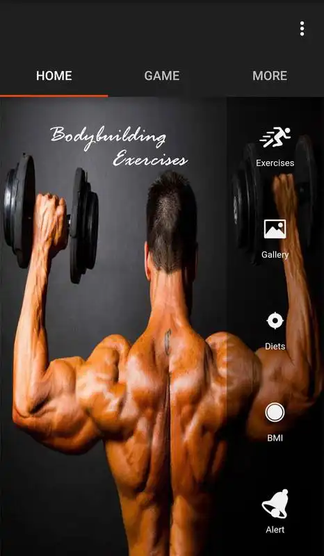 Play Bodybuilding Diet and Exercise