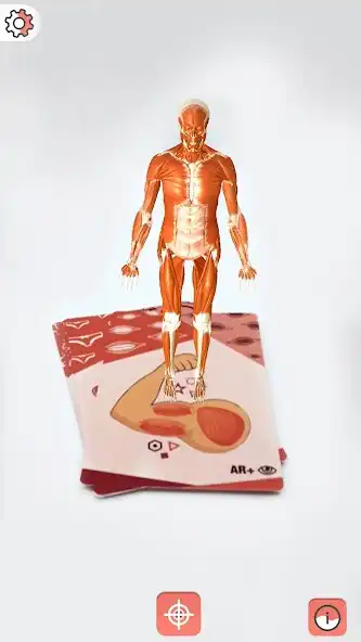 Play Body cards  and enjoy Body cards with UptoPlay