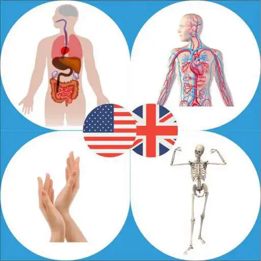 Play Body Parts Name and Pictures APK Play Body Parts Name and Pictures APK