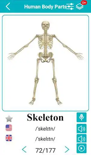 Play Body Parts Name and Pictures as an online game Body Parts Name and Pictures with UptoPlay