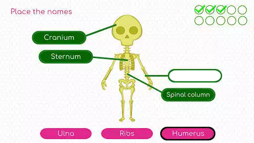Play BodyQuest: Anatomy for kids as an online game BodyQuest: Anatomy for kids with UptoPlay