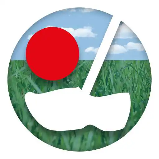 Play Boerengolf APK