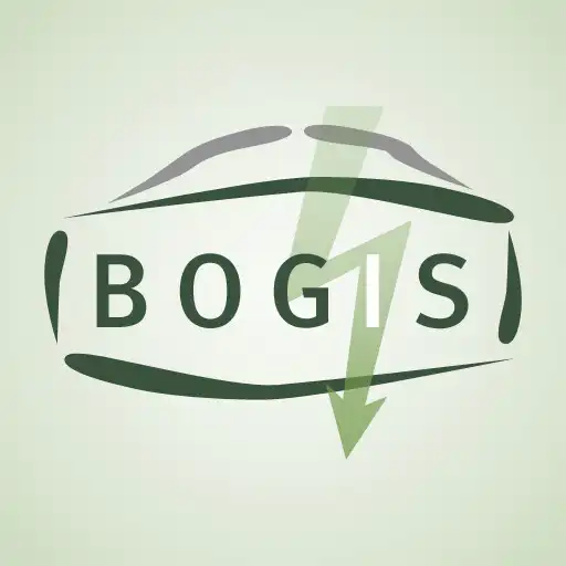Play BOGIS APK