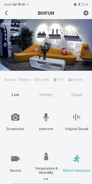 Play BoifunCam as an online game BoifunCam with UptoPlay