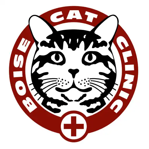 Play Boise Cat Clinic APK Play Boise Cat Clinic APK