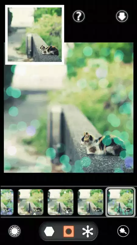 Play BokehPic