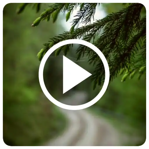 Play Bokeh Video Wallpaper APK