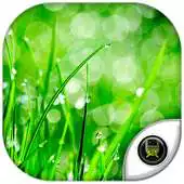 Free play online Bokeh Wallpapers HD APK Free play online Bokeh Wallpapers HD APK