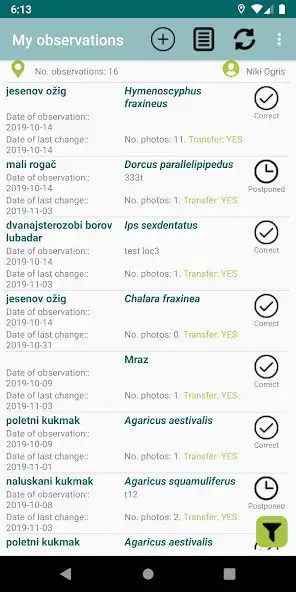 Play Boletus informaticus  and enjoy Boletus informaticus with UptoPlay