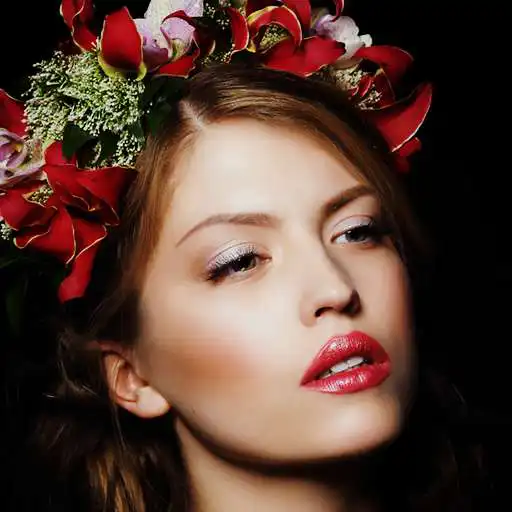 Play BollyWood Updates APK