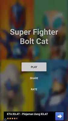 Play Bolt Cat Fighter