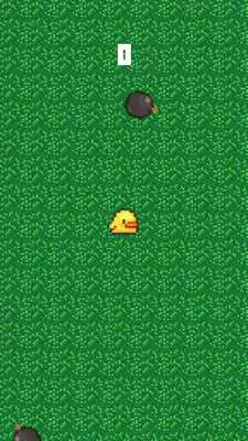 Play Bomb Birdy - EndLess Arcade