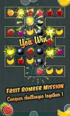 Play Bomber Fruit Legend