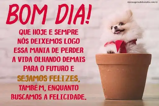 Play Bom Dia, Boa Tarde & Boa Noite Imagens  and enjoy Bom Dia, Boa Tarde & Boa Noite Imagens with UptoPlay