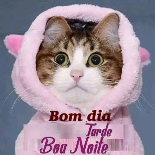 Play Bom dia, Boa tarde e Boa noite 2021 APK