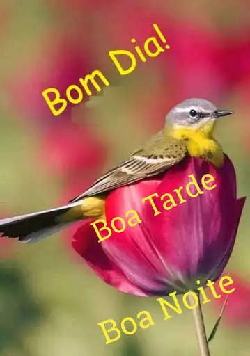 Play Bom dia, Boa tarde e Boa noite 2021  and enjoy Bom dia, Boa tarde e Boa noite 2021 with UptoPlay