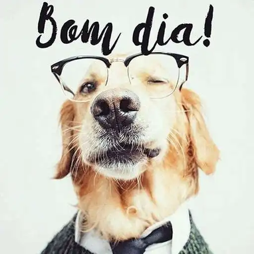 Play Bom dia, Boa tarde e Boa noite 2021 as an online game Bom dia, Boa tarde e Boa noite 2021 with UptoPlay