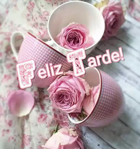 Play Bom Dia, Boa Tarde e Boa Noite as an online game Bom Dia, Boa Tarde e Boa Noite with UptoPlay