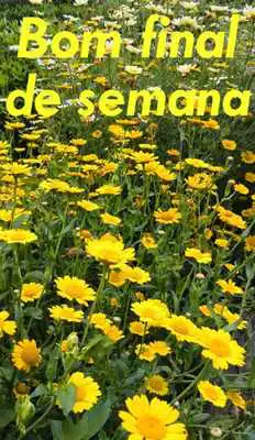 Play Bom fim de semana v2